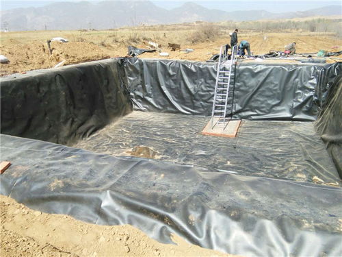 儒风土工材料 优质0.8mm土工膜与针刺地毯供应商