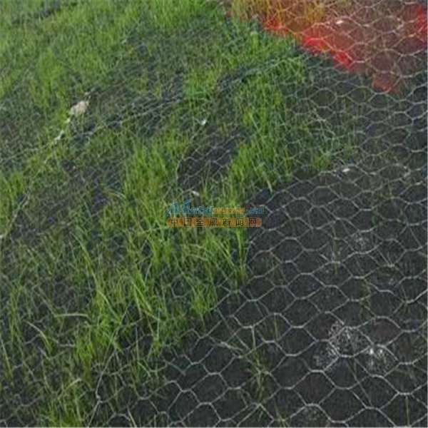 广西加筋麦克垫护坡与防洪植草的应用